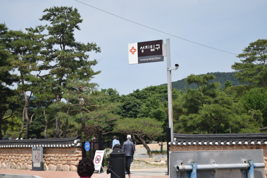 resize_18-0603 (35).JPG